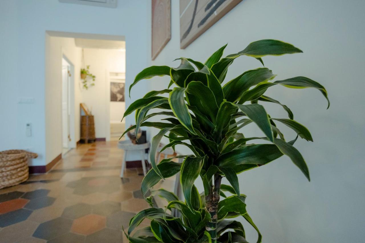 Apartmán Domus Superior Navona - Pantheon Řím Exteriér fotografie